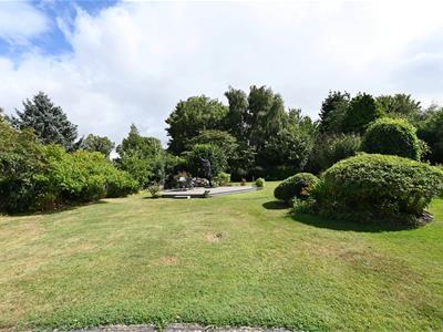 Picture 20